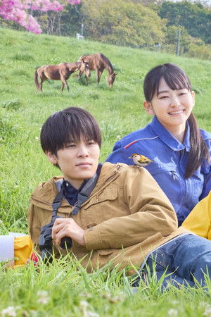 リラの花咲くけものみち