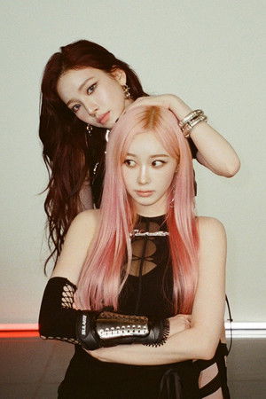 아우디즈의 찾아서 투어