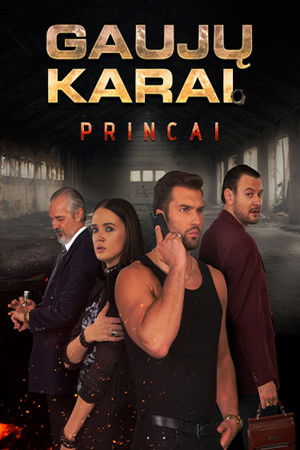 Gaujų karai. Princai