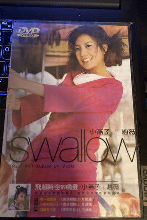 小燕子-飞跃时空的精灵