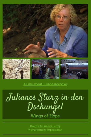 Julianes Sturz in den Dschungel