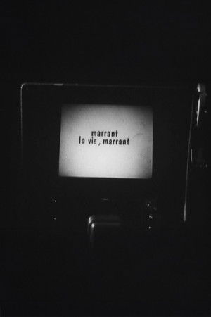 Marrant la vie, Marrant !