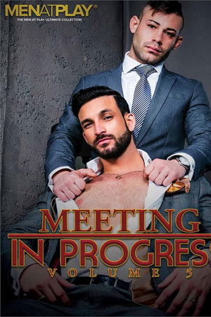 Meeting in Progress 5