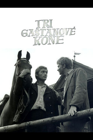 Tri gaštanové kone