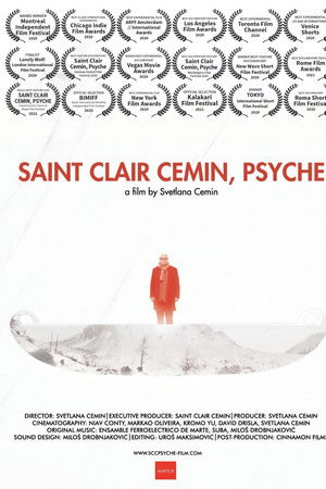 Saint Clair Cemin, Psyche