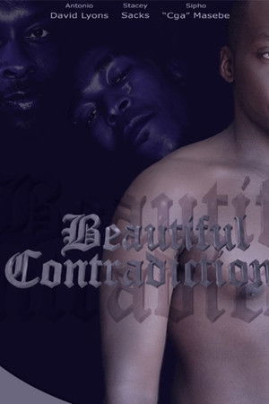 Beautiful Contradictions