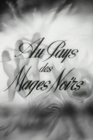 Au pays des mages noirs