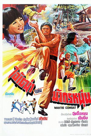 Tang lang zui hu wu ying jiao