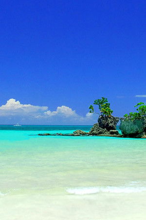 Bridget's Sexiest Beaches