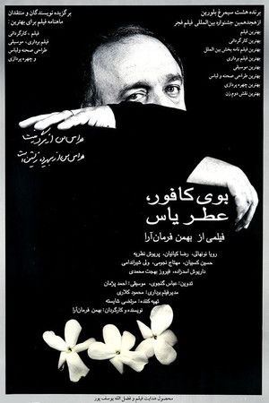 بوی کافور، عطر یاس