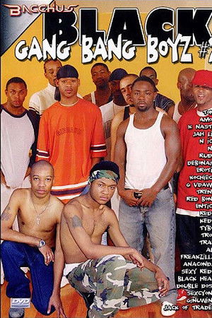 Black Gang Bang Boyz 2
