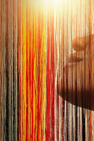 Making Black America