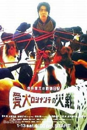 向井荒太の動物日記 〜愛犬ロシナンテの災難〜