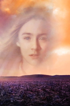 Cennetimden Bakarken