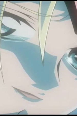 奇鋼仙女ロウラン