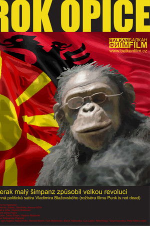 Година на мајмунот