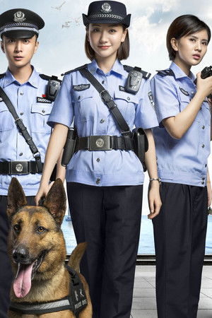 警犬来了