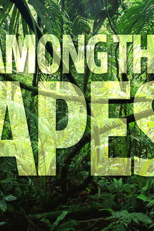 Among the Apes