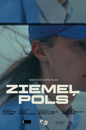 Ziemeļpols