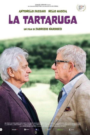 La tartaruga