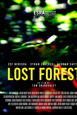 Lost Forest