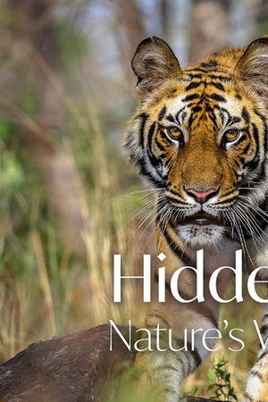 Hidden India
