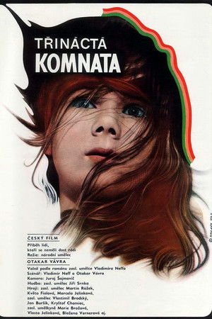Třináctá komnata