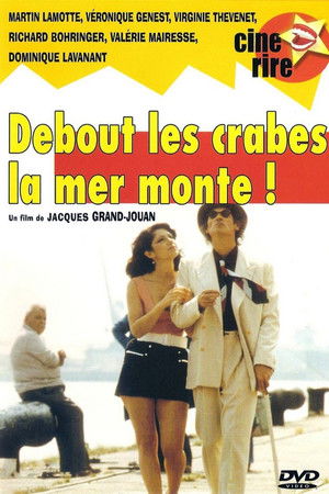 Debout les crabes, la mer monte !