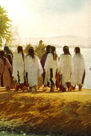 واحة الغروب