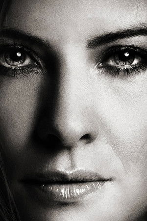 Liza Marklund's Annika Bengtzon