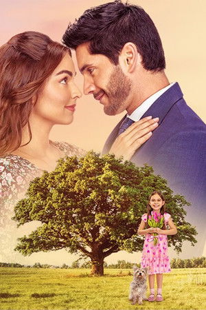 El amor no tiene receta