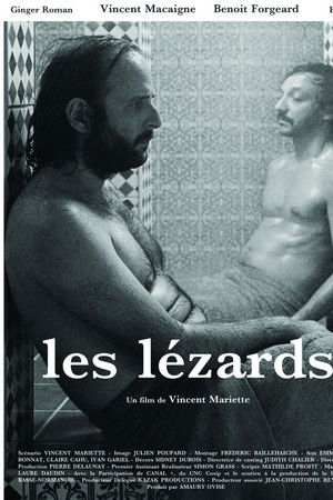 Les lézards