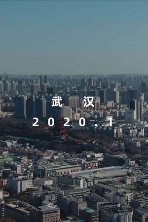 冬去春归·2020疫情里的中国