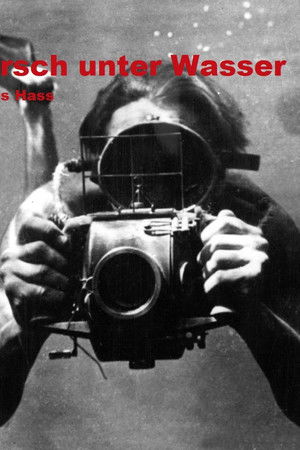 Pirsch unter Wasser
