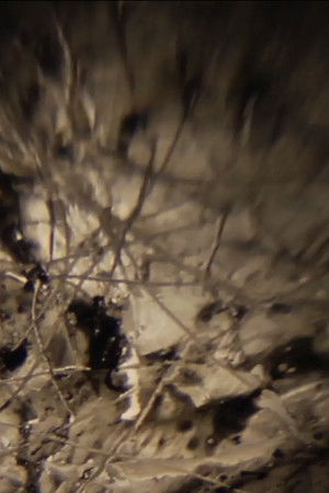 Ken Jacobs / Ghosts Of The Holy Ghost Spermic Brotherhood @ The Nervous Magic Lantern Festival