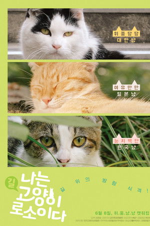 나는 고양이로소이다