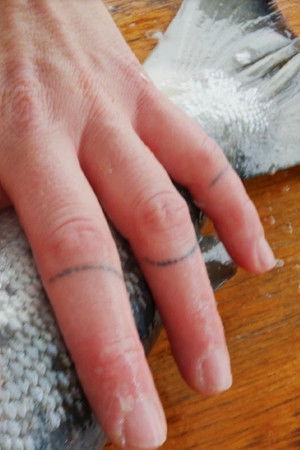 This Is a Story about Salmon