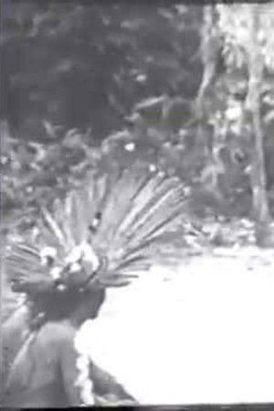 Cerimônias Fúnebres entre os Índios Bororo