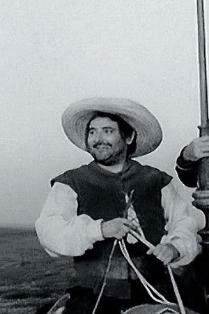 Don Quijote von der Mancha