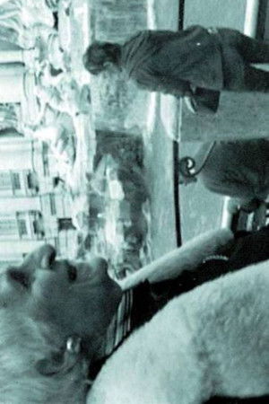 ПРЕВОДАЧКАТА НА ЧЕРНО-БЕЛИ ФИЛМИ