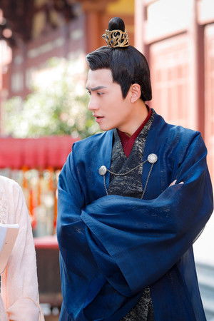 报告王爷，王妃是只猫