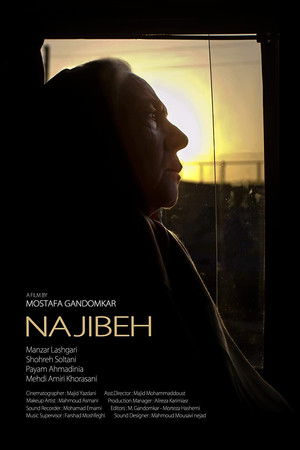 Najibeh
