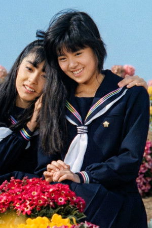 アリエスの乙女たち