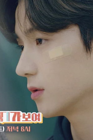 너의 MBTI가 보여