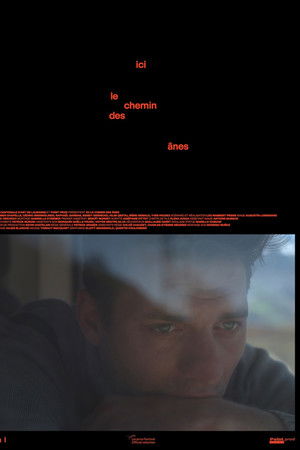 Ici le chemin des ânes