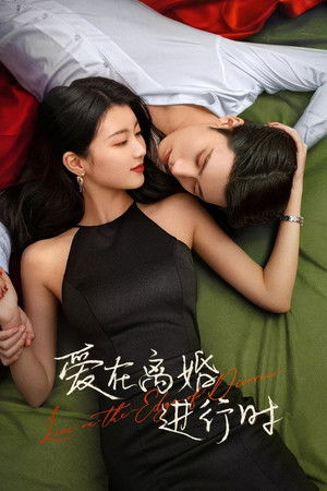 爱在离婚进行时