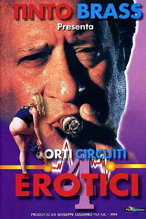 Corti circuiti erotici Vol.4