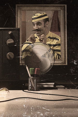 الشانيلي تي في