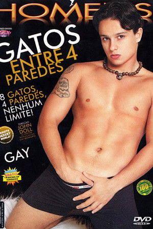 Gatos entre 4 paredes