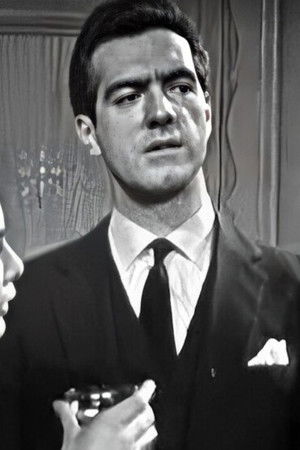 Knight Errant Limited